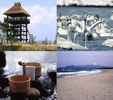 鳥取県